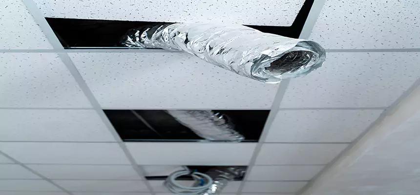 Our Air Duct Pet Hair Removal Services in Hawthorne, NJ