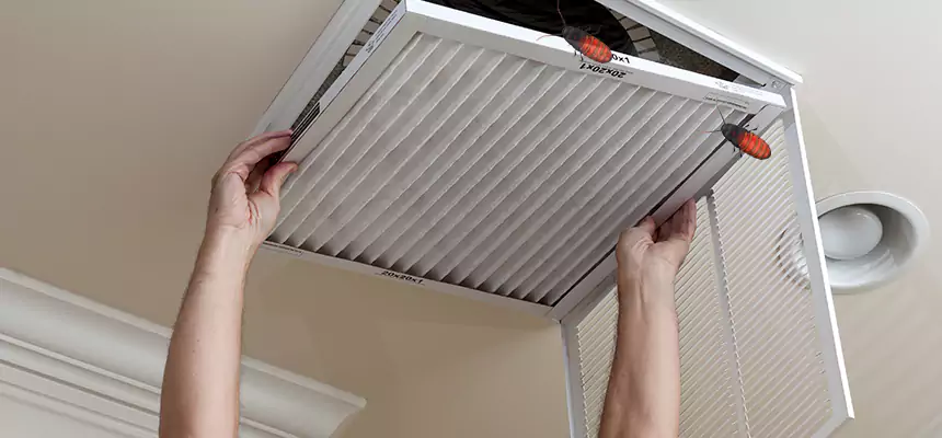 Our Insect Removal from Air Ducts Services in Hawthorne, NJ