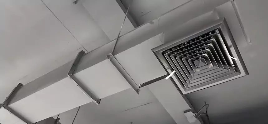 Our Rodent Droppings In Vents Services in Hawthorne, NJ