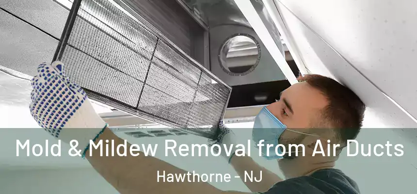  Mold & Mildew Removal from Air Ducts Hawthorne - NJ