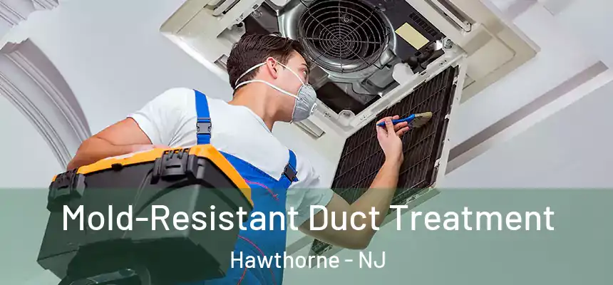  Mold-Resistant Duct Treatment Hawthorne - NJ