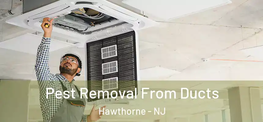  Pest Removal From Ducts Hawthorne - NJ