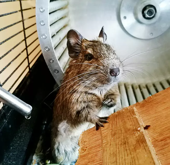 Why Homeowners & Businesses Trust Us Hawthorne, NJ?